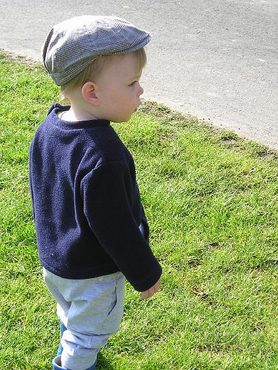 Imme 3 mei 2008 (3).JPG